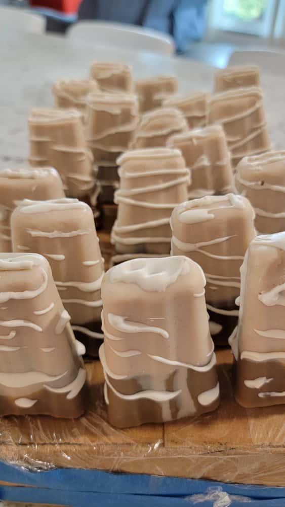 Chocolate and Vanilla Popsicles